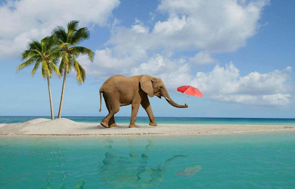 The Amyyra at Elephant Beach